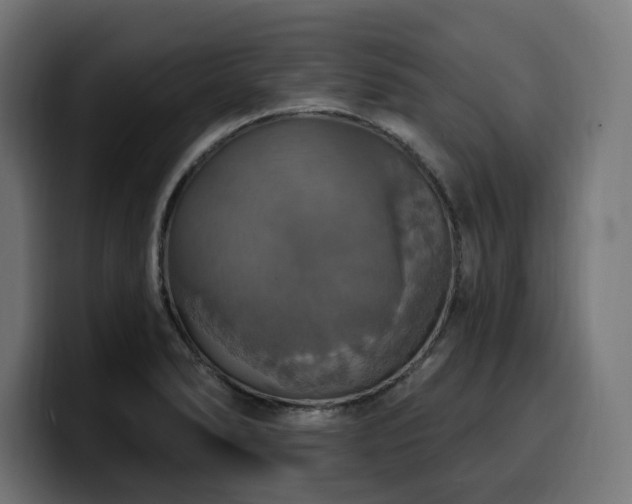 X0000100501278200806131429