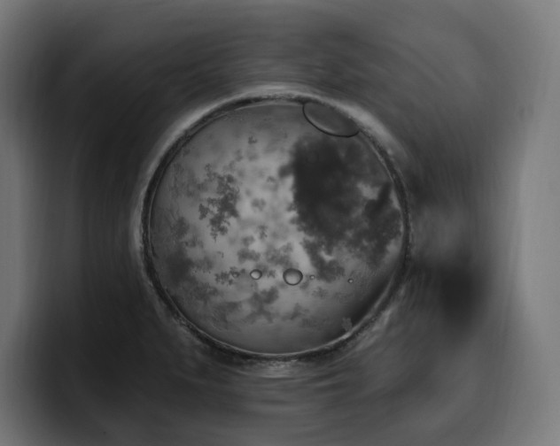 X0000100501279200806131429