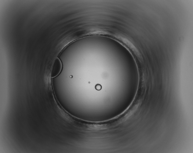 X0000100501281200806131429