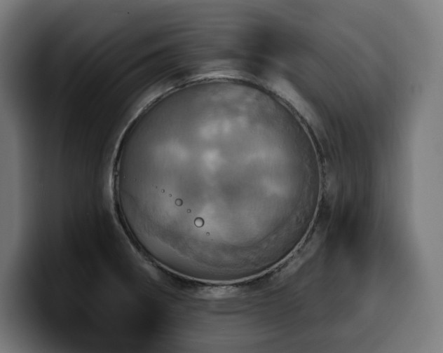 X0000100501282200806131429