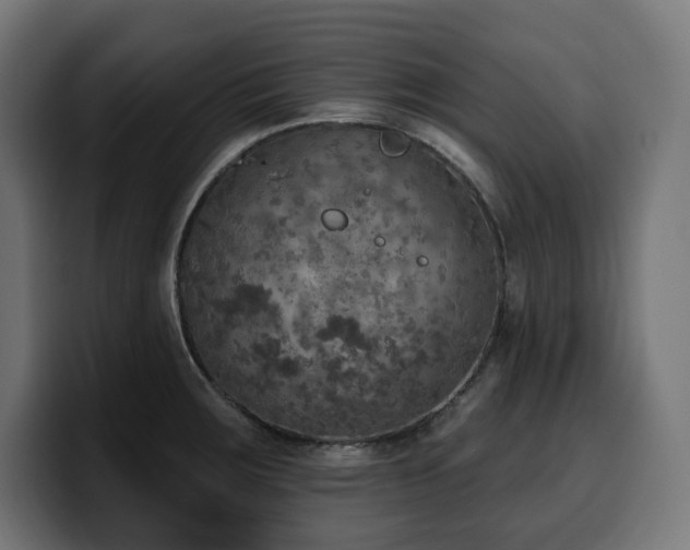 X0000100501283200806131429