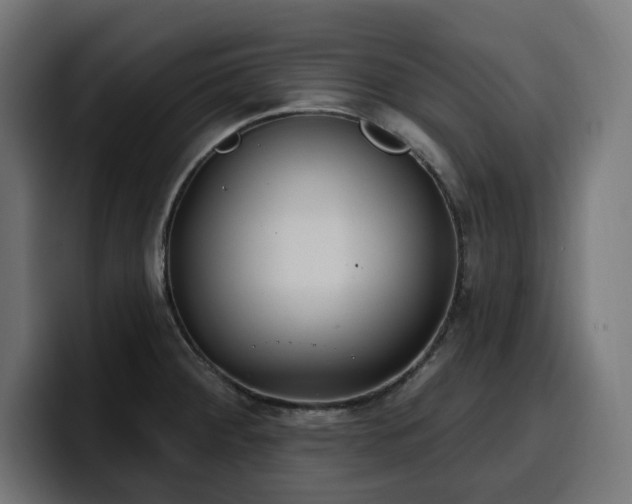 X0000100501284200806131429