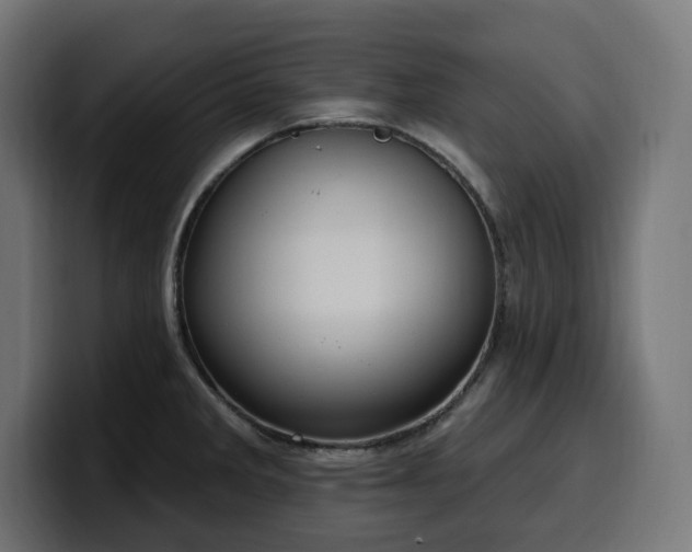 X0000100501285200806131429