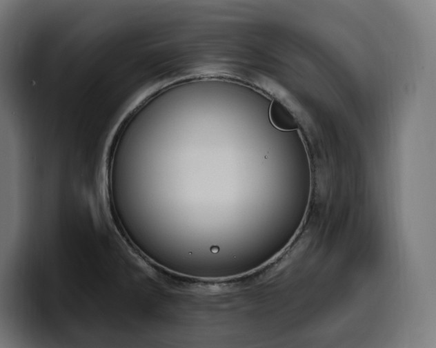 X0000100501286200806131429