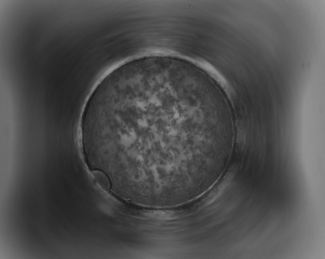 X0000100501287200806131429