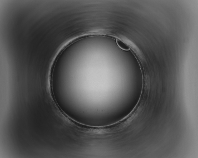 X0000100501288200806131429