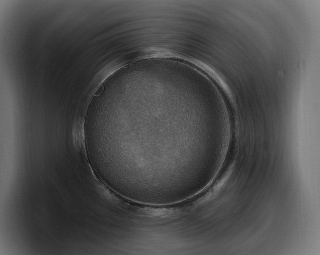 X0000100501289200806131429