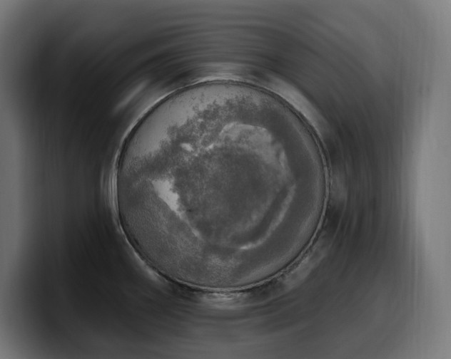 X0000100501290200806131429