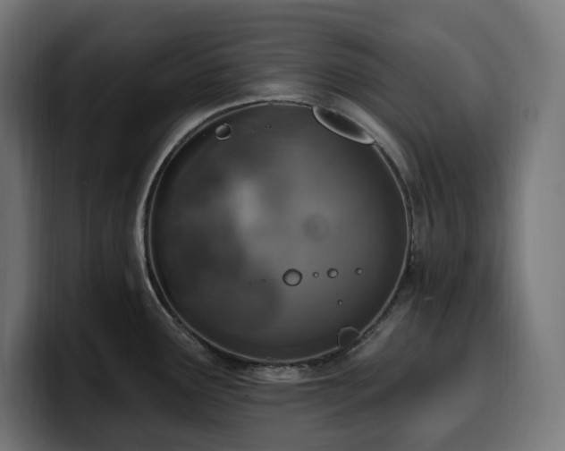 X0000100501291200806131429