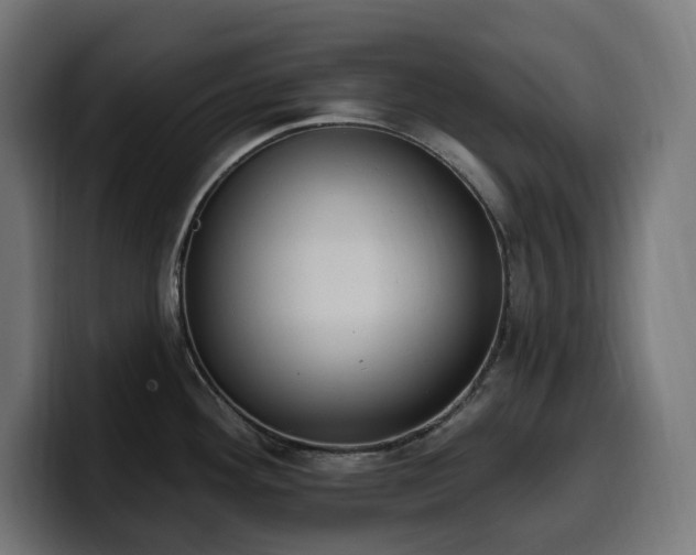 X0000100501292200806131429