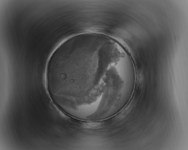 X0000100501294200806131429