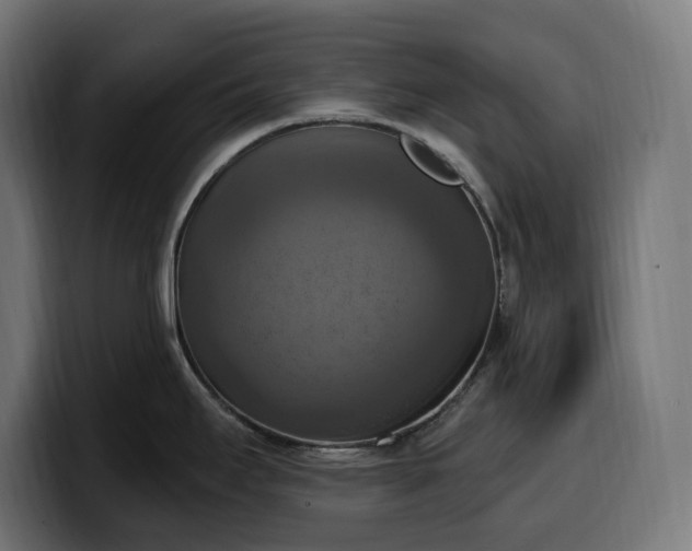 X0000100501295200806131429