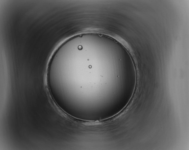 X0000100501296200806131429