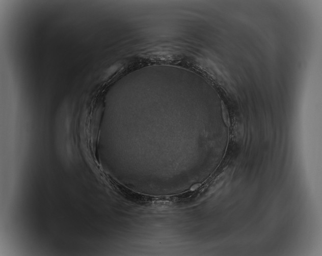 X0000100501297200806131428