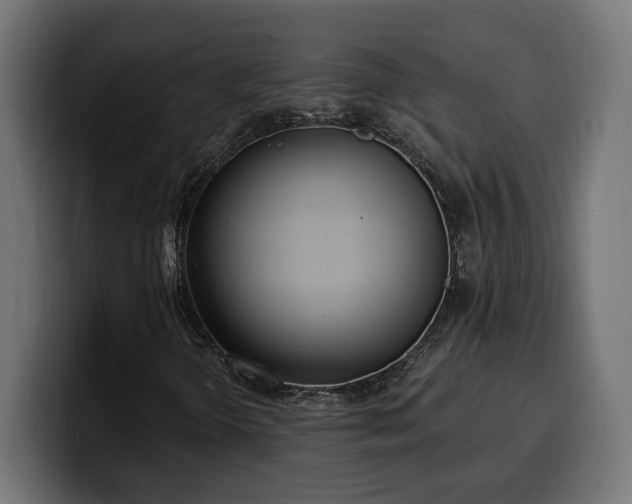 X0000100501298200806131428