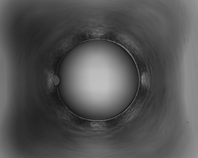 X0000100501299200806131428