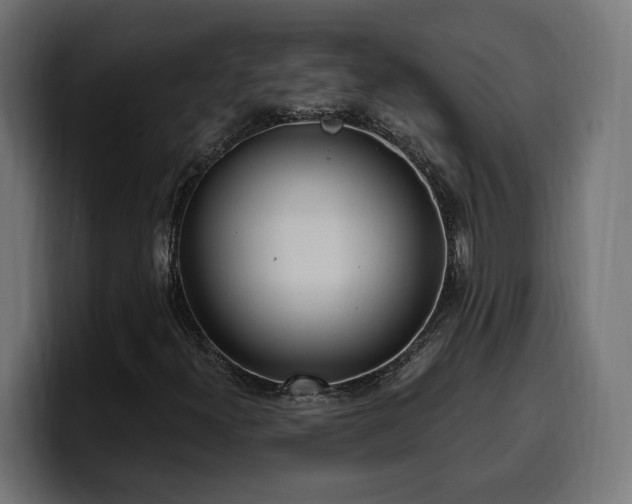 X0000100501300200806131428