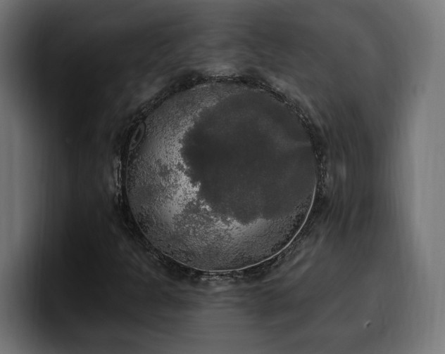 X0000100501301200806131428