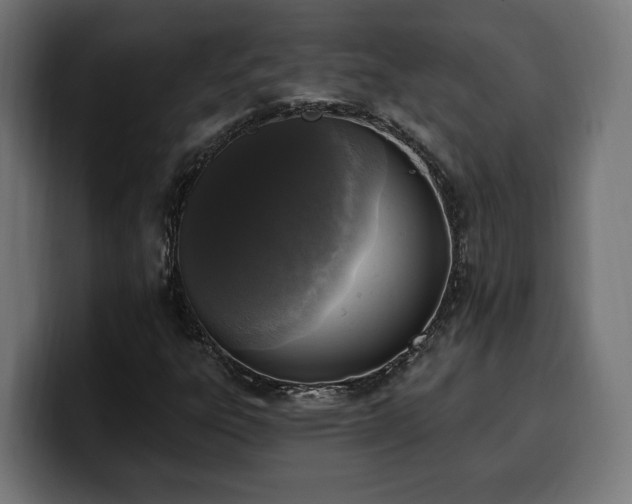 X0000100501303200806131428