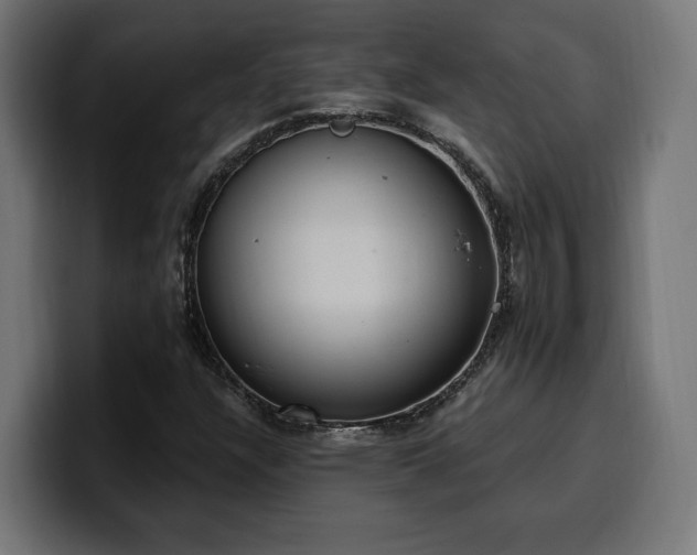 X0000100501304200806131428