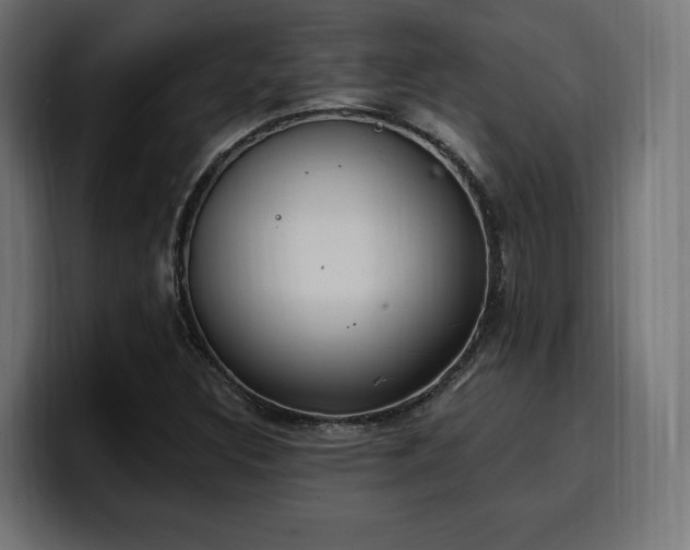 X0000100501308200806131428