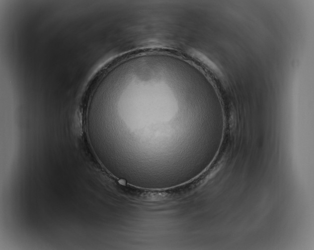 X0000100501310200806131428