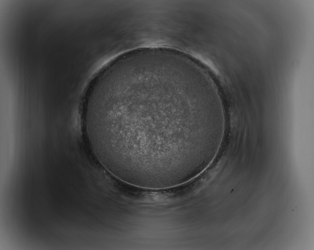 X0000100501311200806131428