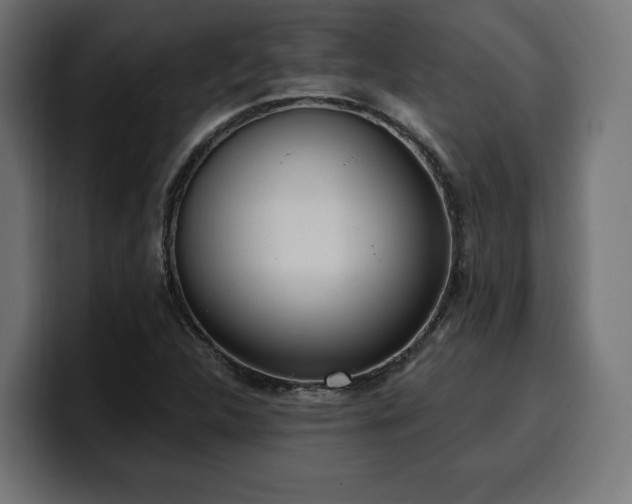 X0000100501312200806131428