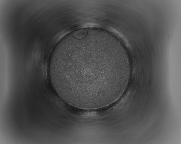 X0000100501313200806131428