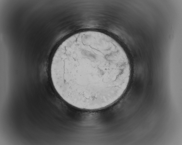 X0000100501314200806131428