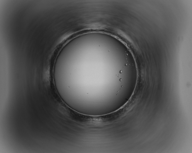 X0000100501315200806131428