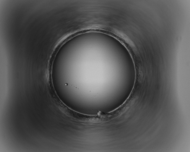 X0000100501316200806131428