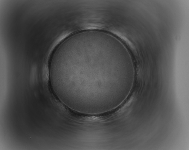 X0000100501317200806131428