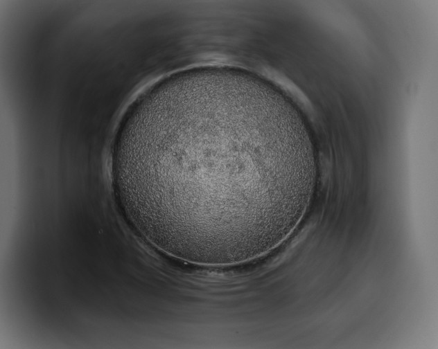 X0000100501318200806131428