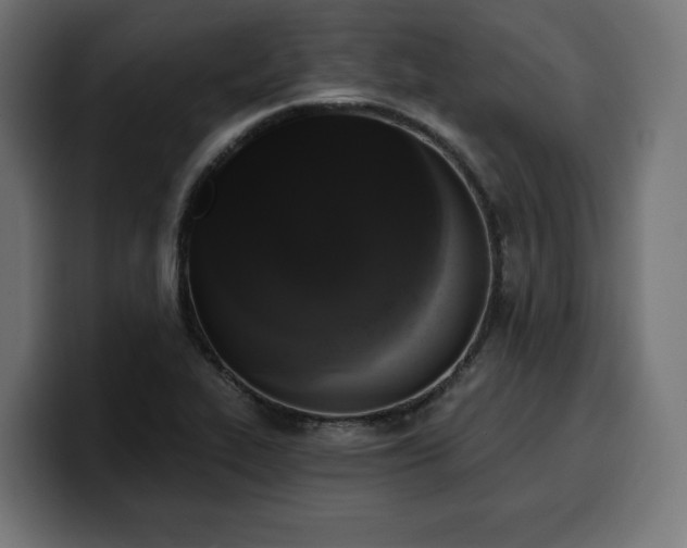 X0000100501319200806131428