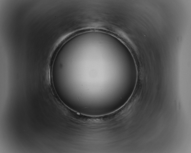 X0000100501320200806131428