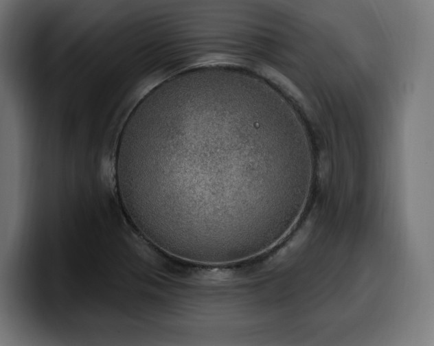 X0000100501321200806131428