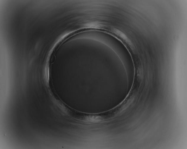 X0000100501323200806131428