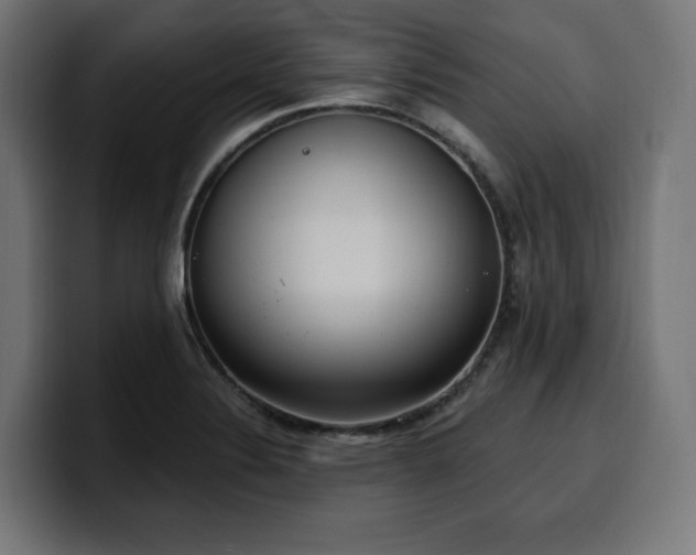 X0000100501324200806131428