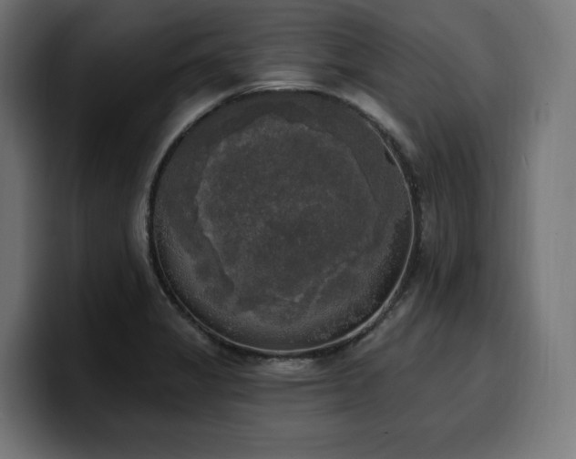 X0000100501325200806131428