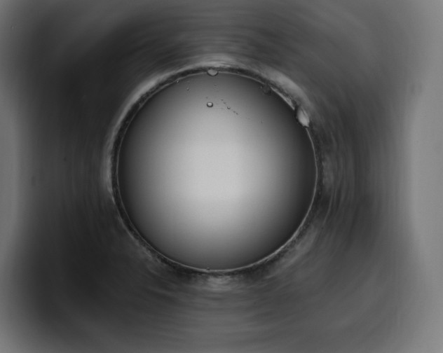 X0000100501326200806131428