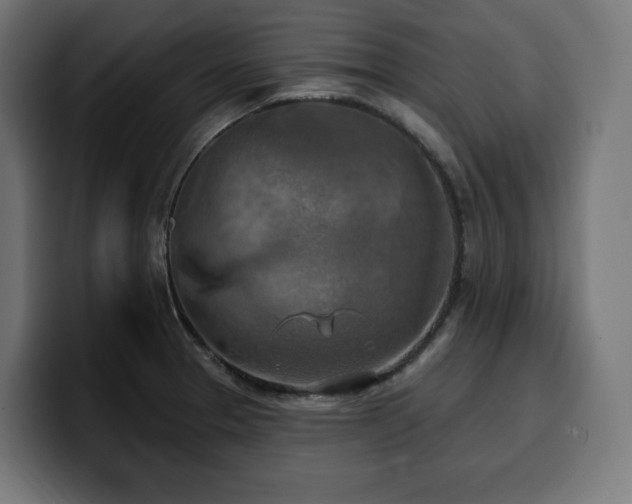 X0000100501329200806131428