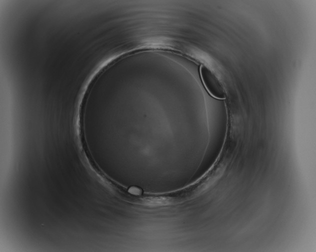 X0000100501331200806131429