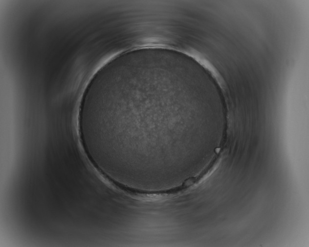 X0000100501333200806131429