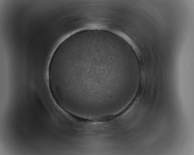 X0000100501335200806131429