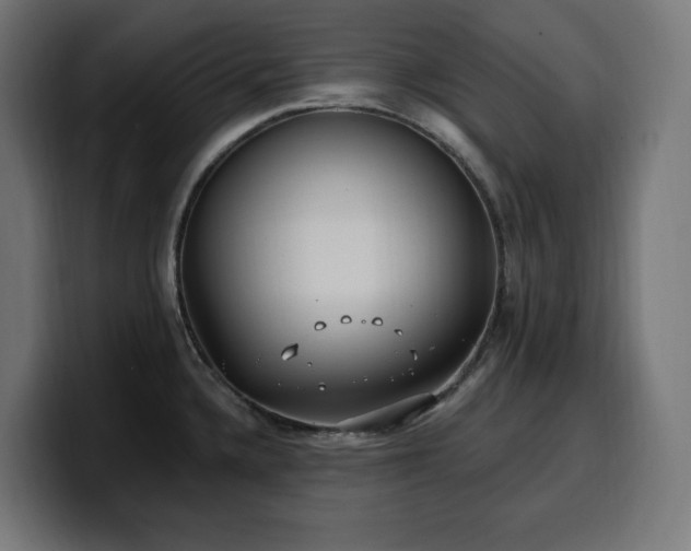 X0000100501336200806131429