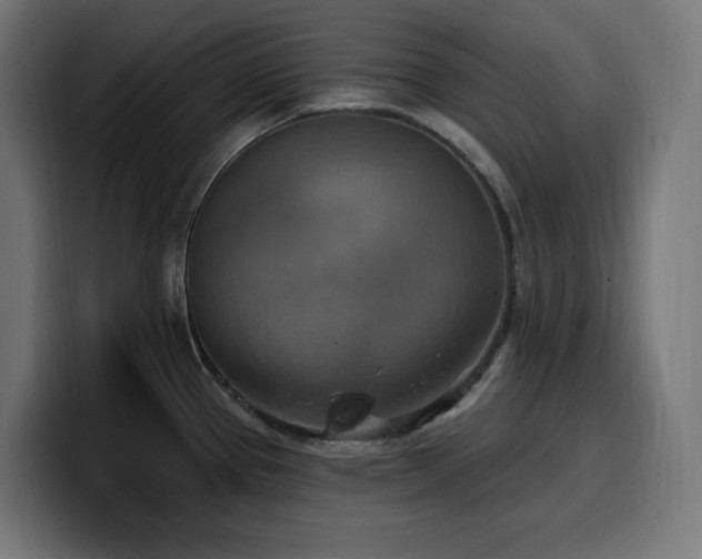 X0000100501337200806131429