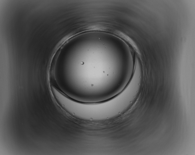 X0000100501338200806131429