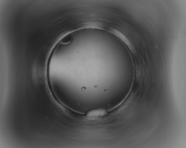 X0000100501339200806131429