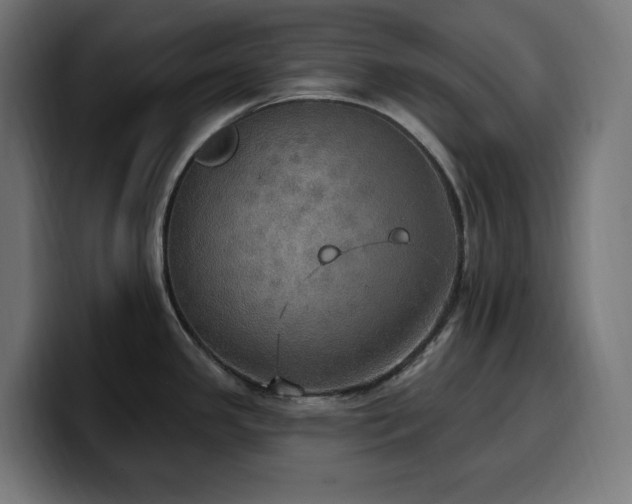 X0000100501341200806131429